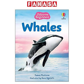 Sách ngoại văn: Beginners Whales - Hard Back
