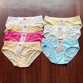 Quần Lót Nữ 3036 Cotton In Hoa Đơn Giản Bán Combo Màu Ngẫu Nhiên