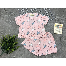 Set quần áo bé girl hoa văn 6-10T. làm từ cotton mềm mịn, thoáng co dãn tốt. Thương hiệu LITIBABY