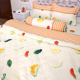 Bộ Ga Gối 100% Cotton Sợi Bông Hàn Quốc Julia 249BK18 (1m8 x 2m)