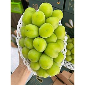 Nho sữa Hàn Quốc - 1KG