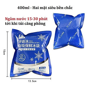 Mua COMBO 10 Túi đá gel khô 400ml bảo quản thực phẩm  an toàn  tiện lợi - Không chảy nước - Giữ lạnh thực phẩm  đồ ăn Túi đá khô giữ nhiệt bảo quản lạnh sữa an toàn  tiện lợi