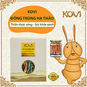 Đông Trùng Hạ Thảo Khô Kovi Hộp 50 con Sấy Thăng Hoa
