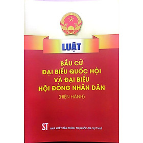 Hình ảnh Luật Bầu cử đại biểu Quốc hội và đại biểu Hội đồng nhân dân (Hiện hành)