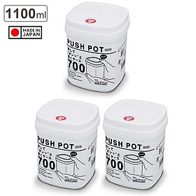 Mua Combo 03 Hộp nhựa đựng thực phẩm Sanada Push Pot - Hàng nội địa Nhật Bản