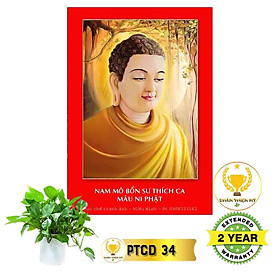 Mua Tranh Phật Thích Ca có khung_PTCK4