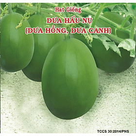 Hạt Giống Dưa Hấu Nụ Phú Nông, Dưa Hồng, Dưa Canh