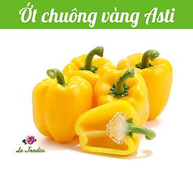 Hạt giống ớt chuông vàng ASTI 508 gói 0,5gr