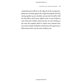 Turtles All The Way Down (Paperback)