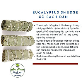 Bộ sưu tập các loại xô thơm thanh tẩy nhà cửa (Palo santo/white sage/blue sage/juniper/Cedar sage...)