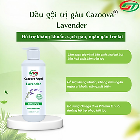 Dầu gội Cazoova Lavender 800ML – Sạch gàu, giảm tóc gãy rụng và phục hồi tóc hư tổn