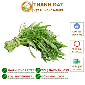 Mua 100gr Hạt giống rau muống lá tre cao sản