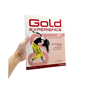 Gold Experience B1 Workbook