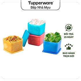 Mua Bộ Hộp Tupperware Bảo Quản Thực Phẩm Ngăn Mát Medium Square Round 1L (04 Hộp)