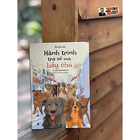  Hành trình trở về của bầy chó 