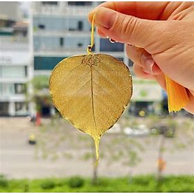 Lá bồ đề tự nhiên mạ vàng 24k