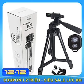 Chân máy ảnh Tripod 3120 tặng Giá kẹp điện thoại, Remote - Hàng Nhập Khẩu