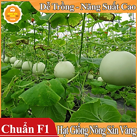Mua Hạt giống Dưa Lê Siêu Ngọt ( Gói 15 Hạt ) - Nông Sản Vàng