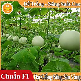 Hạt giống Dưa Lê Siêu Ngọt ( Gói 15 Hạt ) - Nông Sản Vàng