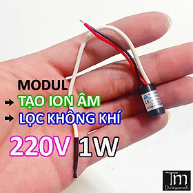 Mua Bộ Tạo ION Âm Lọc Không Khí Điện 220V 1W Nhỏ Gọn