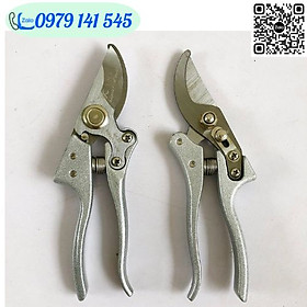 Mua Kéo cắt cành cộng lực chuyên dụng  Kéo Cắt Cành SK5 Nhật Bản