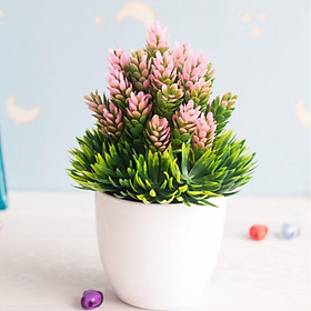 Mua Chậu cây giả mini để bàn dễ thương giá rẻ Kèm chậu TODOCO09