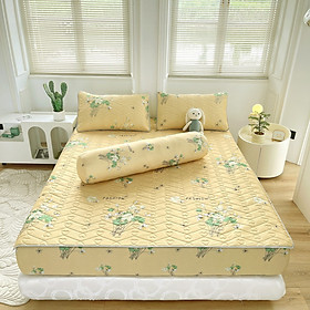 Mua Chiếu Điều Hòa Cao Su Non 6D Siêu Xịn