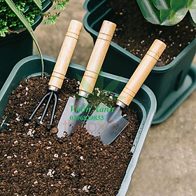 Mua Bộ dụng cụ làm vườn mini 3 món cán gỗ chắc chắn