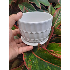 Chậu sứ tròn thuỷ tinh mini trắng tinh khôi