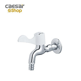 Vòi Lạnh Gắn Tường - WP027C