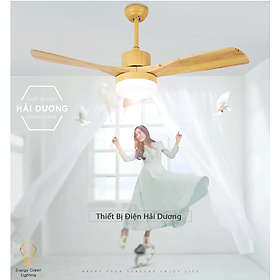 Mua Quạt Trần Gỗ 3 Cánh QT-11055 Phong Cách Bắc Âu Tích Hợp Đèn Chiếu Sáng - 3 Chế Độ Ánh Sáng - Điều Khiển Từ Xa - Có video