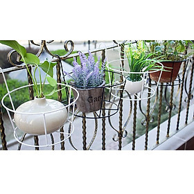 Mua Giá Treo Chậu Hoa  Cây Cảnh Ban Công 22x12cm