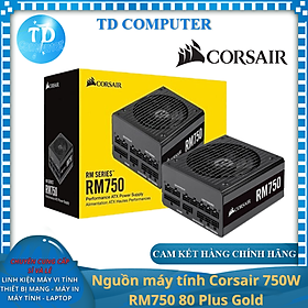 Mua Nguồn máy tính Corsair 750W RM750 80 Plus Gold - Hàng chính hãng Vĩnh Xuân phân phối