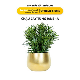 Mua Chậu Cây Gỉa JANE - A/B Trang Trí Nhà Cửa Màu Vàng Đồng | Index Living Mall | Nội Thất Nhập Khẩu Thái Lan - Phân Phối Độc Quyền Tại Việt Nam