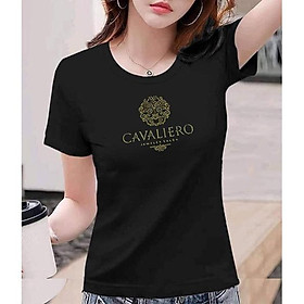 Áo Thun Nữ có BigSize, đủ size Từ S Đến 8XL, Áo Phông nữ cotton, Mặc Mịn Thoáng Mát-Thời Trang Waoo, Mẫu ATNN457
