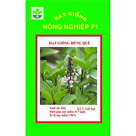 Gói200 hạt giống rau húng quế
