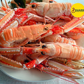 [Chỉ giao HN]Tôm Langoustine Khay 800Grs: 21- 30 Con/Khay 