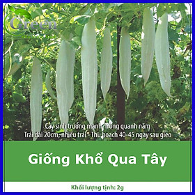 Mua Hạt Giống Khổ Qua Tây Sai Trái (KVX.002)