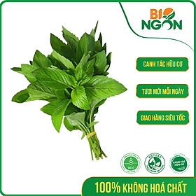 Chỉ Giao HCM - Húng Cây Baby Hữu Cơ Gói 50g