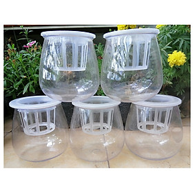ComBo 5 Chậu Nhựa Trồng Cây Thủy Sinh, Kích Thước 10x10x13Cm