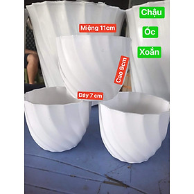 Chậu Trồng Hoa Hình ốc Xoắn mimi Màu Trắng KT 11x9cm