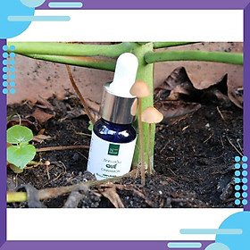 Mua Tinh Dầu Quế - Cinnamon Essential Oil 10ml