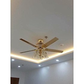 Mua Quạt Trần 5 Bóng Có chỉ dẫn không chạm năng suất 90W Động Cơ Lõi Đồng MALAYSIA Chạy Cực Êm Và Mát