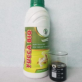 Dung dịch hấp thu độc tố ao nuôi - YUCCA BIO