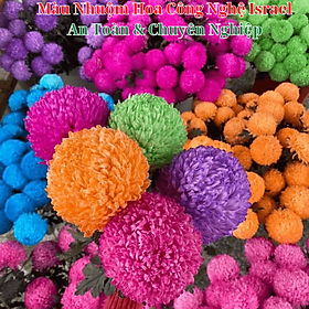 Nước Màu Nhuộm Hoa Tươi Cao Cấp Nhập Khẩu (Chai 1 Lít hoàn chỉnh nhuộm 250 cành) Color Premium For Fresh Flowers