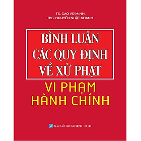 [Download Sách] Bình Luận Các Quy Định Về Xử Phạt Vi Phạm Hành Chính