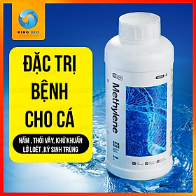 Hình ảnh [Chai 300ml] Yee Methylene Blue - Methylene xanh trị bệnh ngoài da cho cá