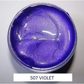 Mua 30g Sơn Acrylic nhũ ánh kim Tím (507)
