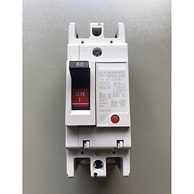 Mua Aptomat MCCB 2P 60A  100A - Attomat dùng cho át tổng hộ gia đình