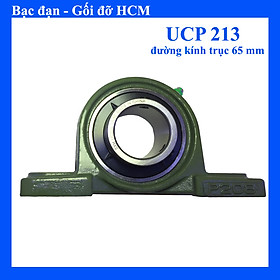 Gối đỡ bac đạn UCP213 đường kính trục 